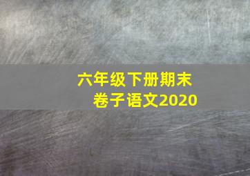 六年级下册期末卷子语文2020