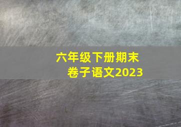 六年级下册期末卷子语文2023