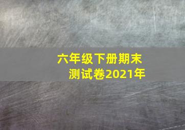 六年级下册期末测试卷2021年