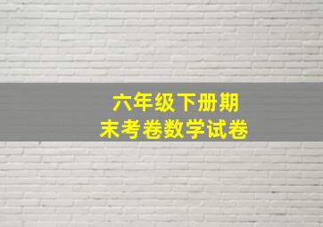 六年级下册期末考卷数学试卷