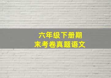 六年级下册期末考卷真题语文