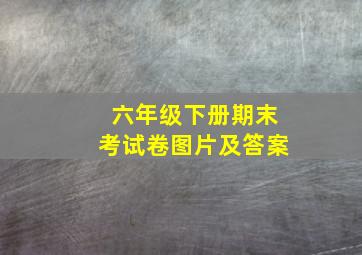 六年级下册期末考试卷图片及答案