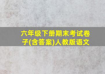 六年级下册期末考试卷子(含答案)人教版语文