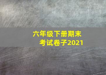 六年级下册期末考试卷子2021