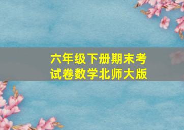 六年级下册期末考试卷数学北师大版