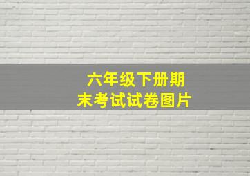 六年级下册期末考试试卷图片