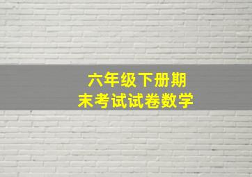 六年级下册期末考试试卷数学