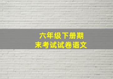 六年级下册期末考试试卷语文