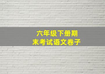 六年级下册期末考试语文卷子