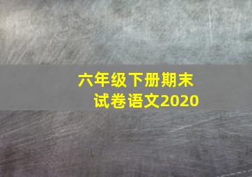 六年级下册期末试卷语文2020