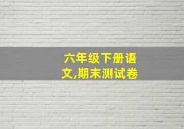 六年级下册语文,期末测试卷