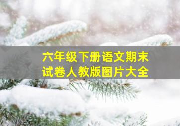 六年级下册语文期末试卷人教版图片大全