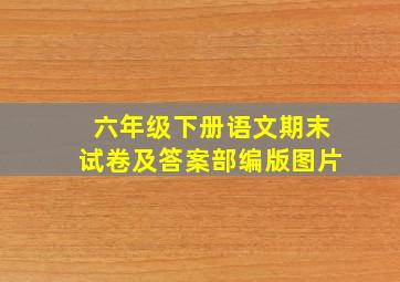 六年级下册语文期末试卷及答案部编版图片