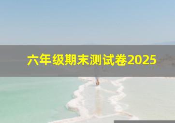 六年级期末测试卷2025