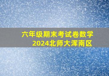 六年级期末考试卷数学2024北师大浑南区