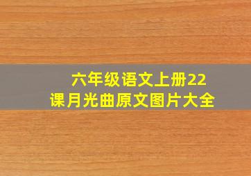 六年级语文上册22课月光曲原文图片大全