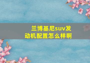 兰博基尼suv发动机配置怎么样啊