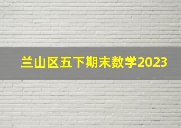 兰山区五下期末数学2023