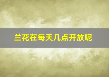 兰花在每天几点开放呢