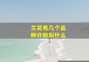 兰花有几个品种分别叫什么