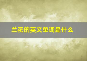 兰花的英文单词是什么