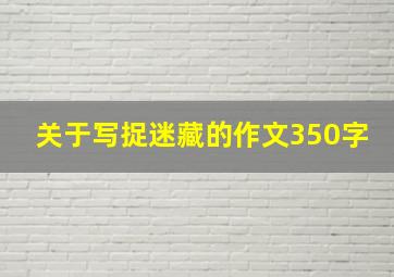 关于写捉迷藏的作文350字