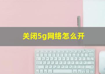 关闭5g网络怎么开