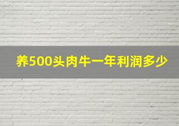 养500头肉牛一年利润多少