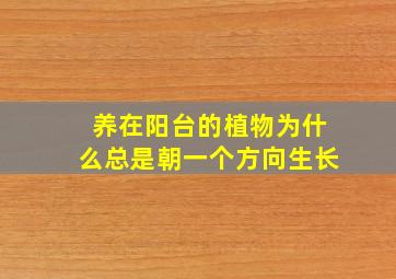 养在阳台的植物为什么总是朝一个方向生长