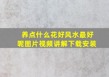 养点什么花好风水最好呢图片视频讲解下载安装