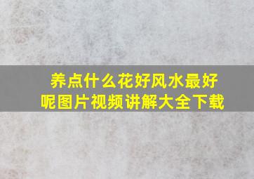 养点什么花好风水最好呢图片视频讲解大全下载