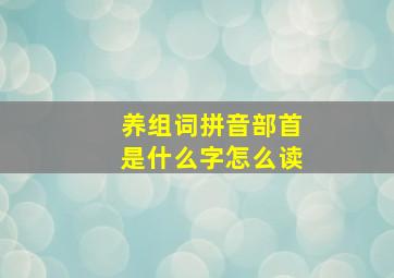 养组词拼音部首是什么字怎么读