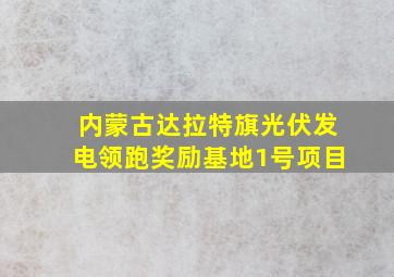 内蒙古达拉特旗光伏发电领跑奖励基地1号项目