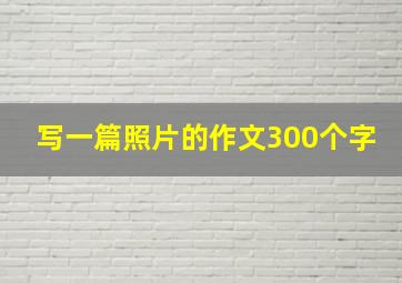 写一篇照片的作文300个字