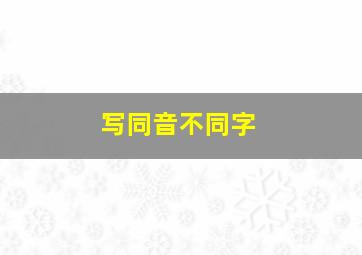 写同音不同字