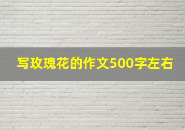 写玫瑰花的作文500字左右