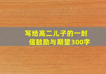 写给高二儿子的一封信鼓励与期望300字