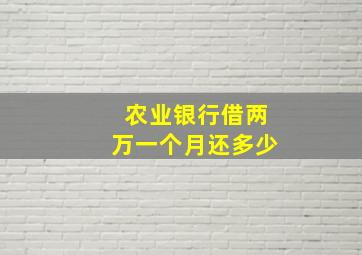 农业银行借两万一个月还多少