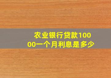 农业银行贷款10000一个月利息是多少