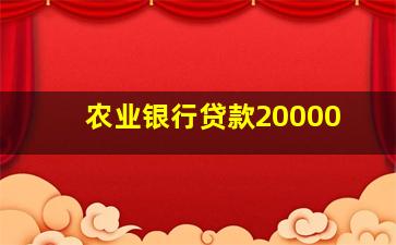 农业银行贷款20000