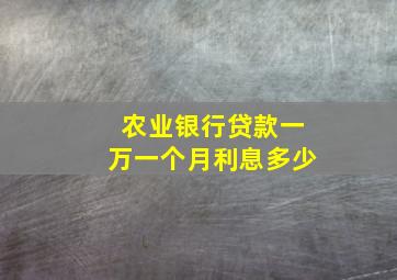 农业银行贷款一万一个月利息多少