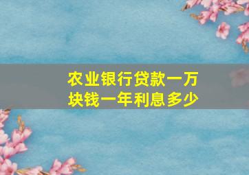 农业银行贷款一万块钱一年利息多少