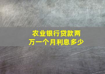 农业银行贷款两万一个月利息多少