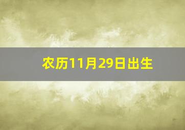 农历11月29日出生