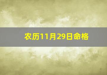 农历11月29日命格