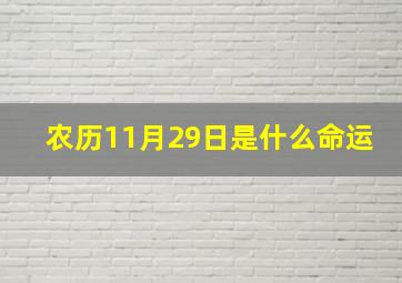 农历11月29日是什么命运