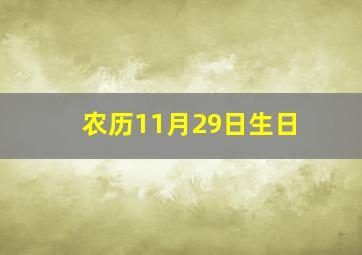 农历11月29日生日