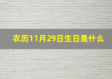 农历11月29日生日是什么