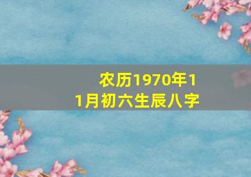 农历1970年11月初六生辰八字