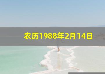 农历1988年2月14日